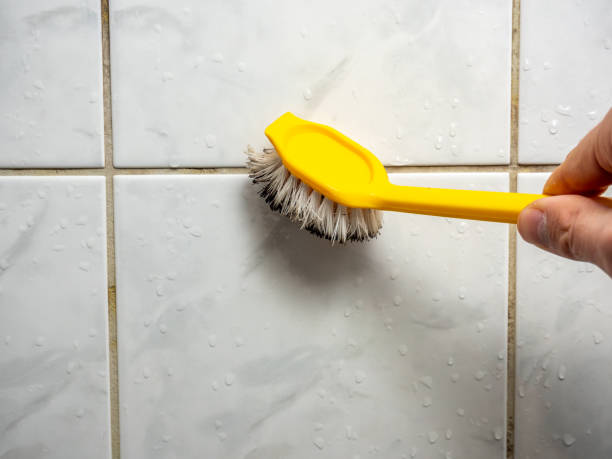 Best Localized Mold Remediation (e.g., coastal areas, humid climates) in Malvern, AR