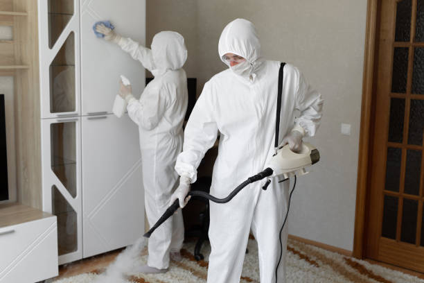 Best Residential Mold Remediation in Malvern, AR